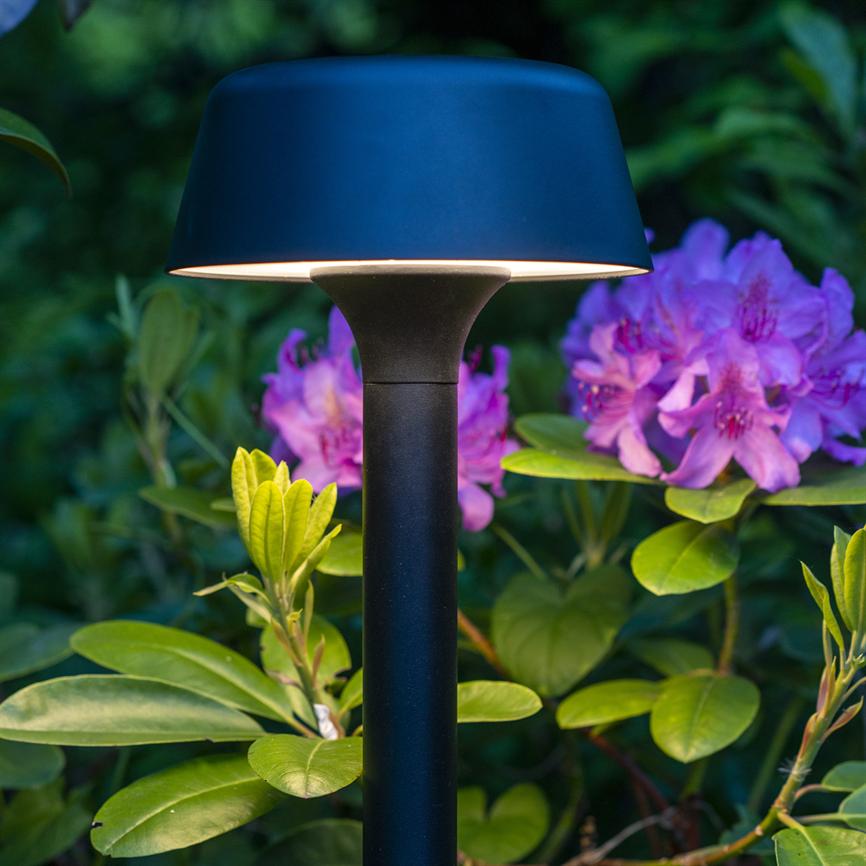 En sort, moderne have-lampe lyser blødt nedad, omkranset af grønne blade og store lyserøde rhododendronblomster i blødt aftenlys.