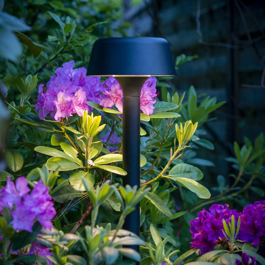 Sort havelampe står og lyser blidt op i en rhododendronbusk, hvor rosa og lilla blomster og grønne blade omgiver lampens stilk i en aftendæmpet have.