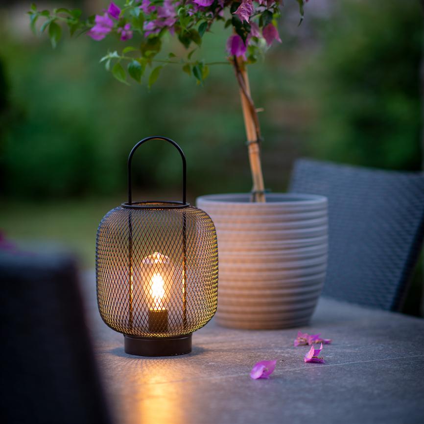 En sort metallanterne udsender varmt, gult skær; den står på et udendørs bord ved en grå krukke med blomstrende plante, spredte lyserøde kronblade og en sløret have i baggrunden.