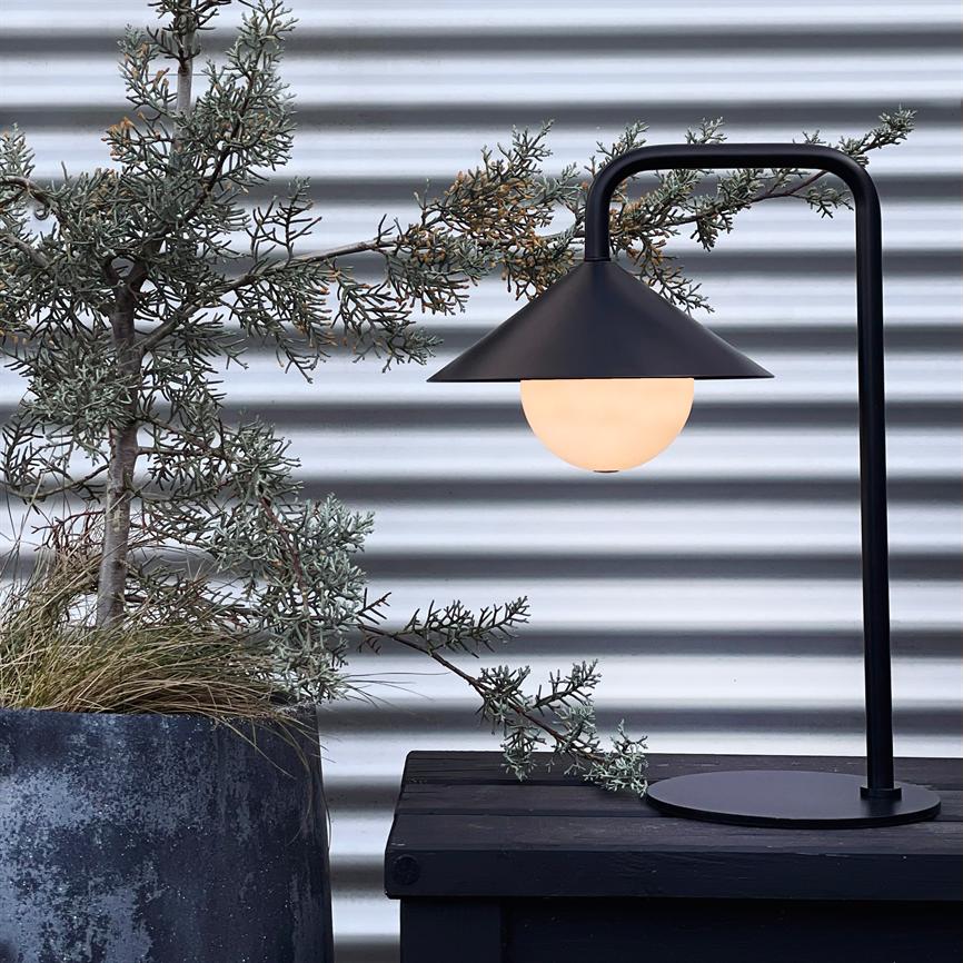 Sort bordlampe kaster varmt, blødt lys over et mørkt træbord; ved siden af står en grå potte med en spinkel, nåleklædt busk foran en bølget metalvæg.