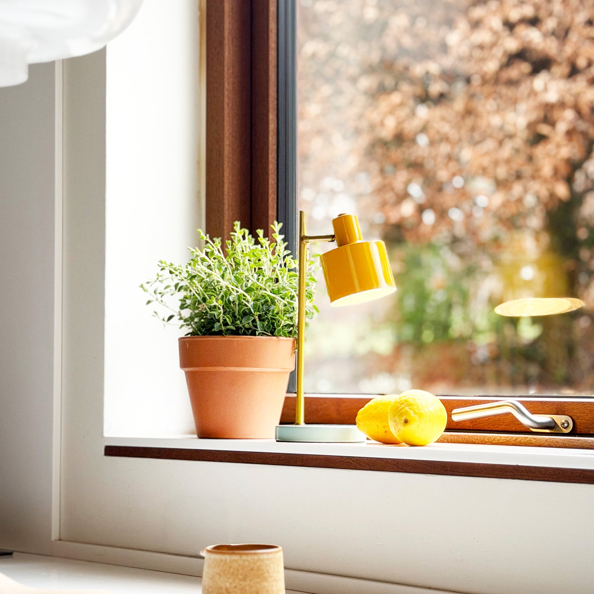 Ocean LED Mini Bordlamp Karry/Turkis